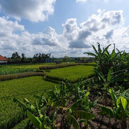 Oemah Joglo Bali Villa Ubud Buitenkant foto