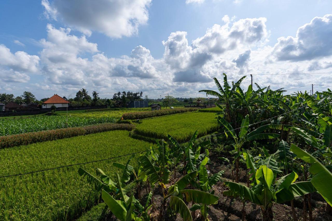 Oemah Joglo Bali Villa Ubud Buitenkant foto