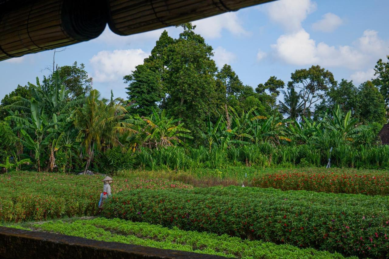 Oemah Joglo Bali Villa Ubud Buitenkant foto